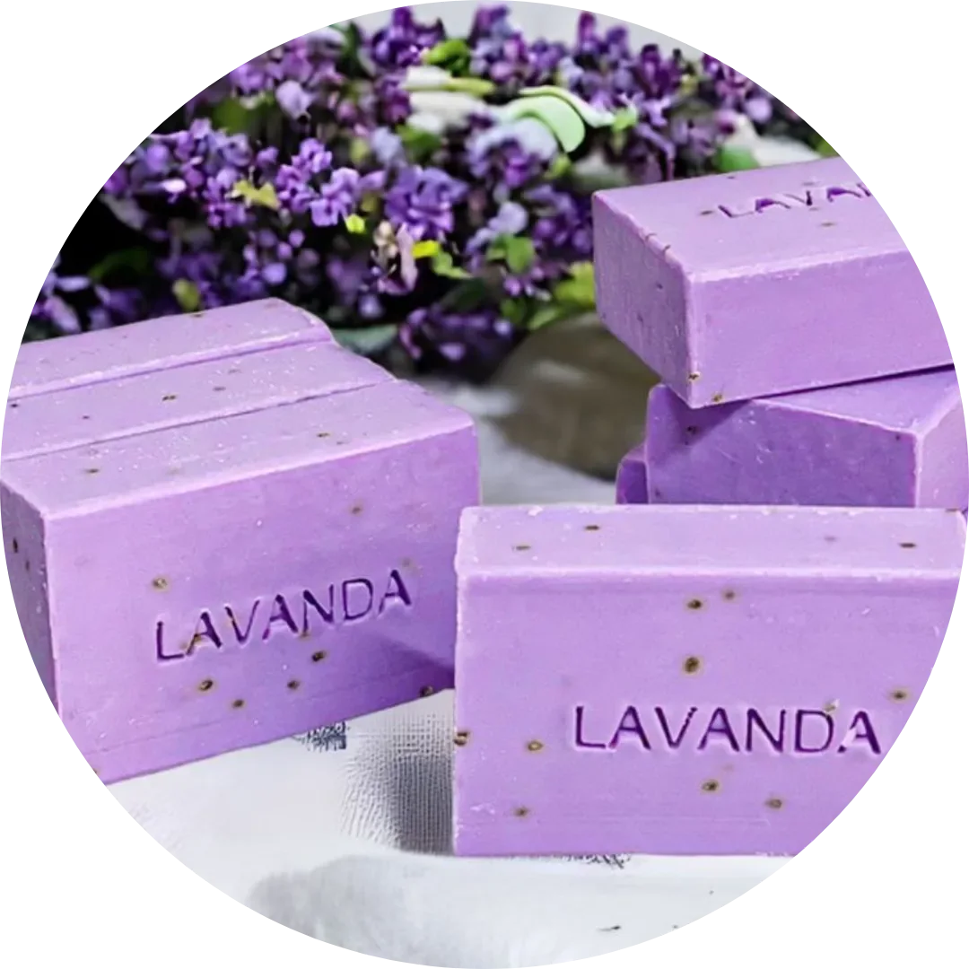 Lavanda
